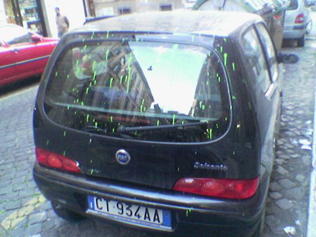 Img(184).jpg